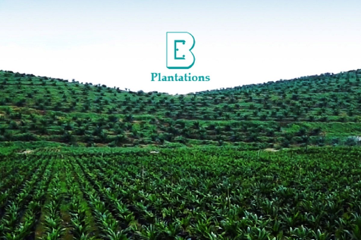 Maybank IB: Boustead Plantations – BUY TP RM0.90 (Previous RM0.81)